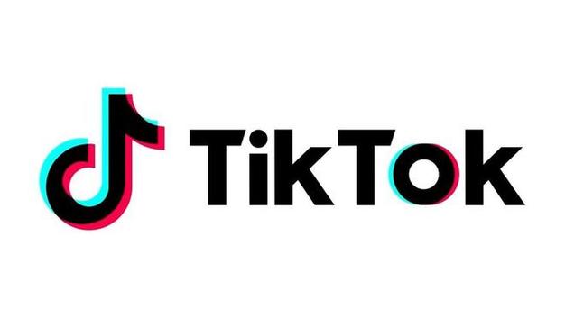 Tiktok Users Share Efficient Learning Science And Method Verification 