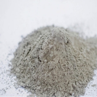 Rapid Hardening Sulphoaluminate Gelling Agent: A Decade of Innovation at CABR paving block material