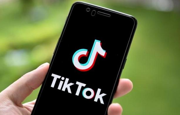 TikTok Under Fire for Economic Impact 
